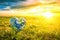 Symbolic Representation Of Love For Earth With Heartshaped Planet On Meadow
