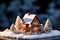 Symbolic representation of winter heating with a capped house model