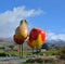 Symbols of the Fruit produced in Cromwell region, New Zealand