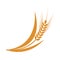 Symbols. for logo design Wheat. Agriculture, corn, barley, stalks, organic plants, bread, food, natural harvest, vector