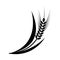 Symbols. for logo design Wheat. Agriculture, corn, barley, stalks, organic plants, bread, food, natural harvest, vector