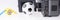 Symbols for the Video Assistant Referee isolated on white. Panoramic image
