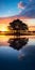 Symmetrical Arrangements: Capturing The Isolated Sunset On A Tree