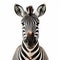 Symmetrical Asymmetry: A Close-up Of A Zebra In John Wilhelm\\\'s Style