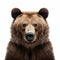 Symmetrical Asymmetry: Ultra Realistic Bear Head Photo And Poster Artwork