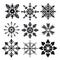 Symmetrical Black Snowflakes Vector Set Inspired By John Hejduk