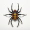 Symmetrical Black Widow Spider In National Geographic Style Photography