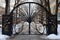 symmetrical black wrought iron gate design