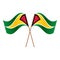 Symmetrical Crossed Guyana flags