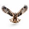 Symmetrical Falcon Soaring: Intuitive Gestures And Spontaneous Energy