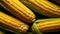 Symmetrical Glazed Earthenware: Uhd Image Of Sweet Corn On The Cob