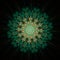 Symmetrical Gold Green fractal flower, digital artwork for graphic