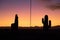 Symmetrical lama and cactus silhouettes on a sunset