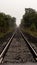 Symmetrical perspective of a railway in a forest