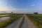 Symmetrical road in between paddy field