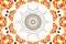 Symmetrical round floral orange green tiny details