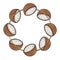 Symmetrical Round frame, brown coconut halves, copy space, vector cartoon