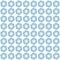 Symmetrical seamless blue floral pattern, cool pastel colors.