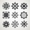 Symmetrical Snowflake Set On White Background With Black Icons