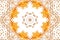 Symmetrical yellow dried floral hexagonal design pattern