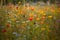 Symphony of Wildflowers Colorful Meadow with Flowers Dancing in the Breeze
