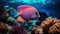 Symphysodon discus fish displays dazzling patterns and colors near vibrant coral reefs, Ai Generated