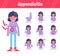 Symptoms of appendicitis: constipation, fever, vomiting, flatulence, burping, pain, heartburn, dizziness, muscle tension