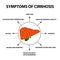 Symptoms of cirrhosis. Infographics. Vector illustration on isolated background