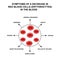 Symptoms of a decrease in red blood cells in the blood. Cells erythrocytes. Hemoglobin. The structure of red blood cells