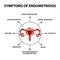 Symptoms of endometriosis. The uterus ovaries structure. Infographics. Vector illustration on isolated background