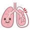 Symptoms of pneumothorax lung vector