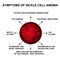 Symptoms of sickle cell anemia. World Sickle Cell Anemia Day 19 June. Red blood cells. Erythrocytes Sickle. Infographics