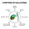 Symptoms of stones in the gallbladder. Infographics. Vector illustration on isolated background