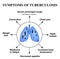 Symptoms of tuberculosis. World Tuberculosis Day. March 24. The structure of the lungs. Infographics. Vector illustration