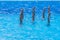 Synchronised swimming. Beautiful lean female legs in the water of a swimming pool. Concept of beauty, artistry