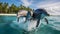 Synchronized Harmony: Graceful Dolphins in Caribbean Waters