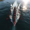 synchronized rowers on the sea Aerial view, perfect harmony