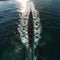 synchronized rowers on the sea Aerial view, perfect harmony