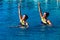 Synchronized Swim Girls Pairs Dance