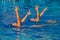 Synchronized Swim Hands Pose
