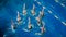 Synchronized swimming. Young girls learn swimming in the pool. Young girls are trained to competitive swimming in the