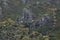 Synclinal fold in the mountains of Serra do Courel