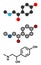 Synephrine herbal stimulant molecule. Stylized 2D renderings and conventional skeletal formula. Present in several Citrus species.