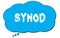 SYNOD text written on a blue thought bubble