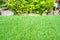 Synthetic artificial grass