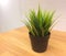 Synthetic Green Potted Plant