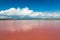 Synthetic Pink water salt lake in Dominican Republic