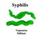 Syphilis. Treponema pallidum, Spirochaetaceae. Bacterial infections. Sexually transmitted diseases. Infographics. Vector