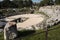 syracuse sicily italy roman amphitheater theater theatre wide shot 162 p