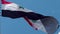 Syrian flag fluttering in the wind. National flag against a blue sky,